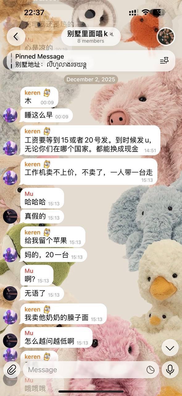#曝光 #讨薪 #亚博 #天博 #摩根 #柬埔寨 #西港